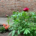 Al Fluviale Bed and Breakfast