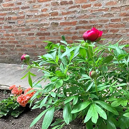 Bed and breakfast Al Fluviale *