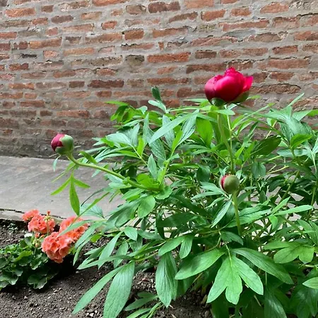 Al Fluviale ベッド・アンド・ブレックファスト